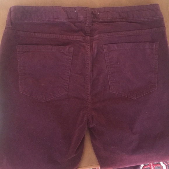 Life In Progress - Purple Velvet Skinny Pants - Picture 3 of 4